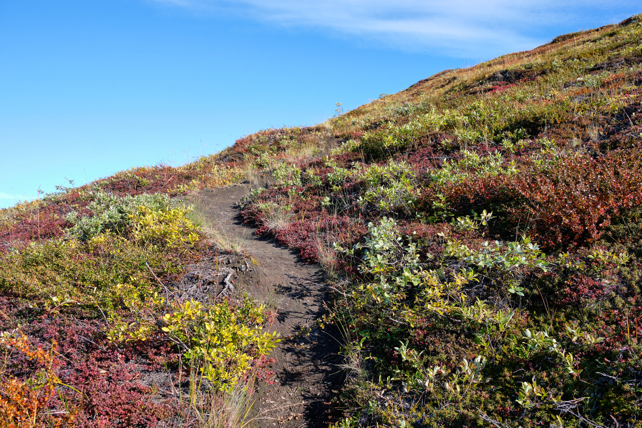 Sugarloaf Mountain Trail Destination Arctic Circle   Kangerlussuaq Sugarloaf Hiking Lisa Germany DAC 0011 1 Scaled 